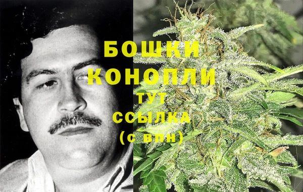 СК Елизово