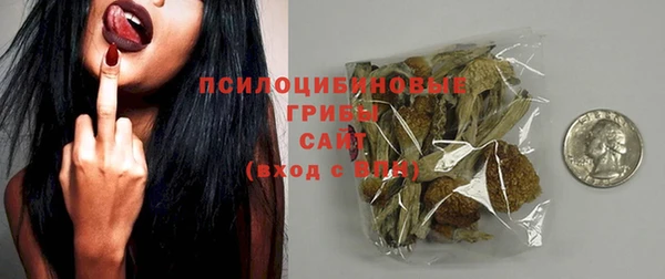 СК Елизово