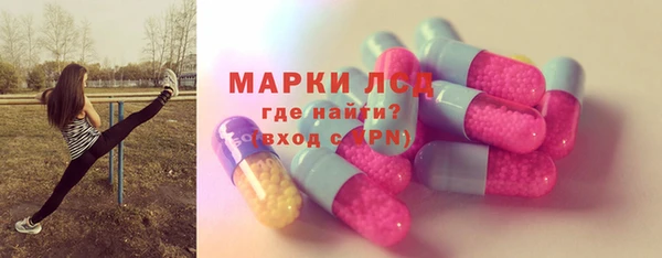 СК Елизово