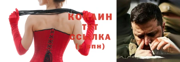 СК Елизово