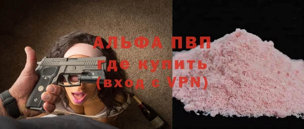СК Елизово